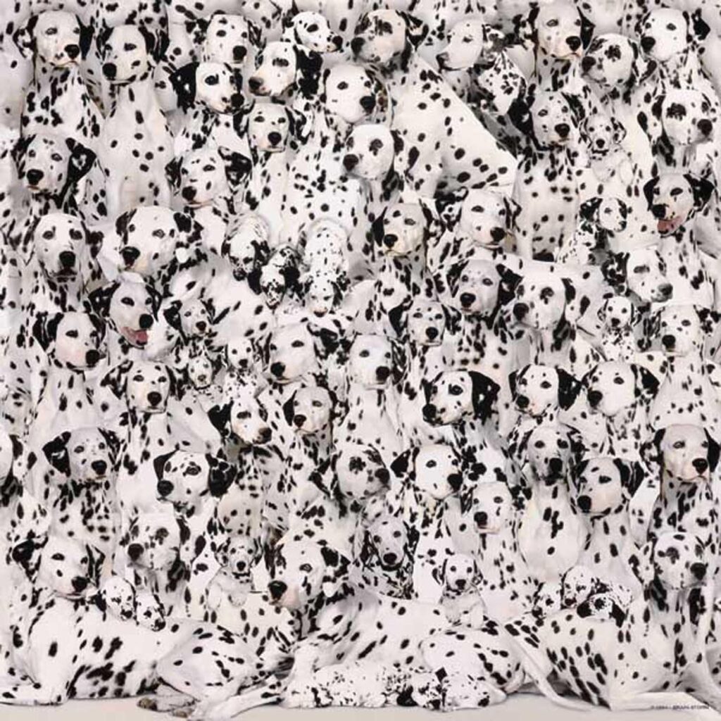 Dalmatians_1-1024x1024 Five of the Worlds Hardest Jigsaw Puzzles